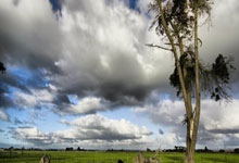 华体会体育：1141次！佩德里是本赛季西甲在对方半场成功传球最多的球员169.