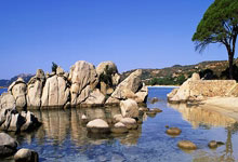 华体会体育：11中9！杜兰特：吉莱斯皮表现非常出色 这能让他建立更多信心.